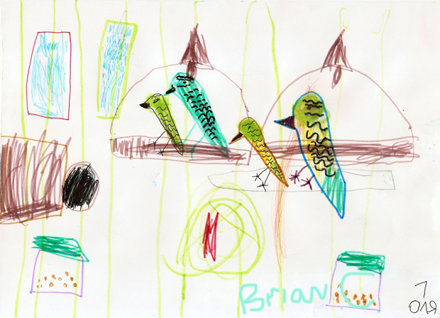 Parrot Cage. Children drawing.
