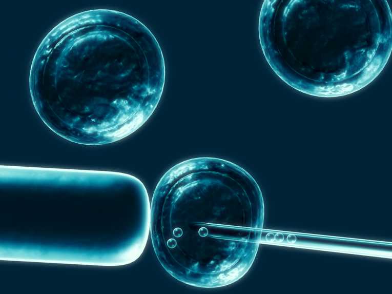 review-due-australian-stem-cell-research-legislation_212011