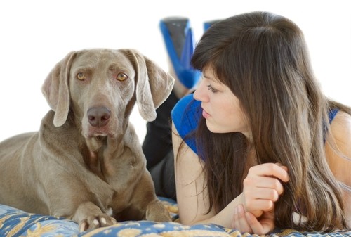 500px x 337px - Waterford Woman Insists On Talking To Her Dog Like It's A Person â€“  Waterford Whispers News