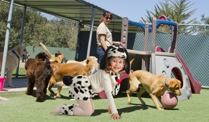 Desperate Parents Now Disguising Kids As Dogs To Avoid Creche Fees