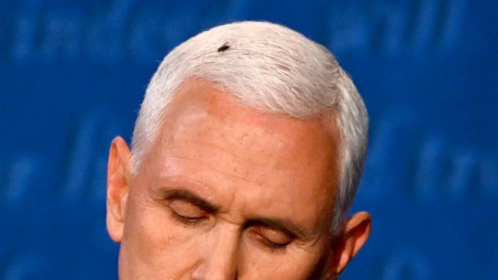 Russian Fly Found To Be Prompting Pence During Debate Waterford Whispers News